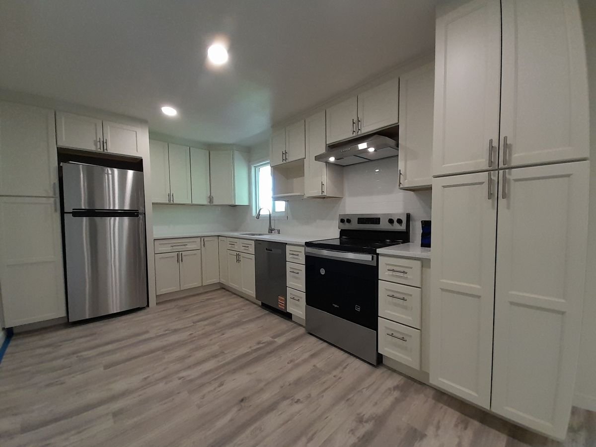 Modern Kitchen Remodel